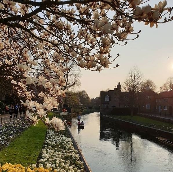 UNIVERSITY OF KENT - CANTERBURY